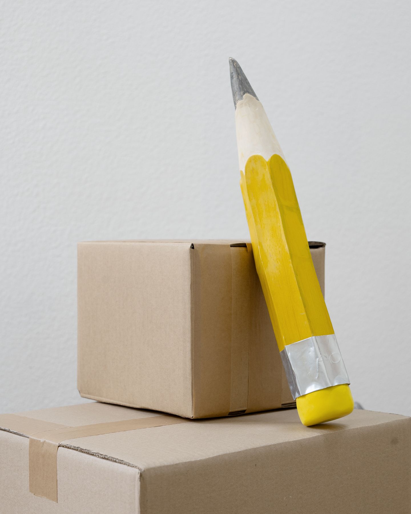 fasan space
